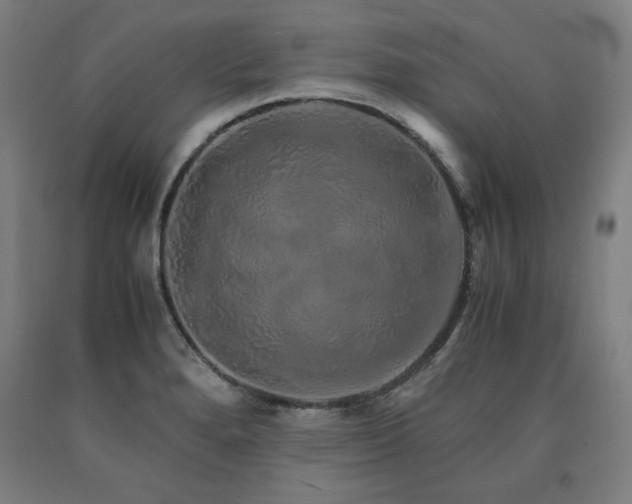 X0000090901280200707301405