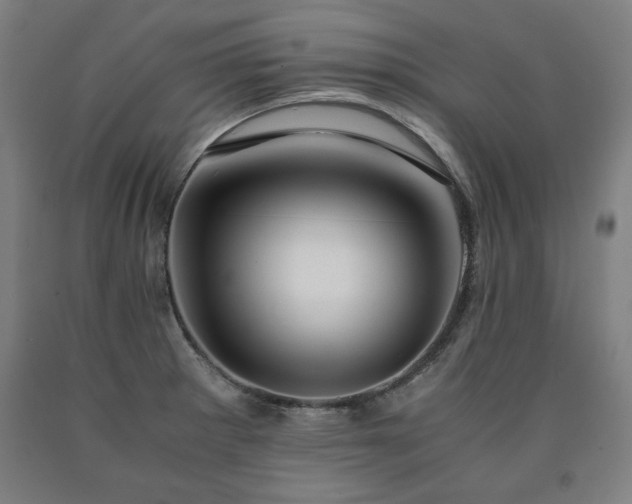 X0000090901281200707301405