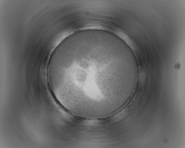 X0000090901282200707301405