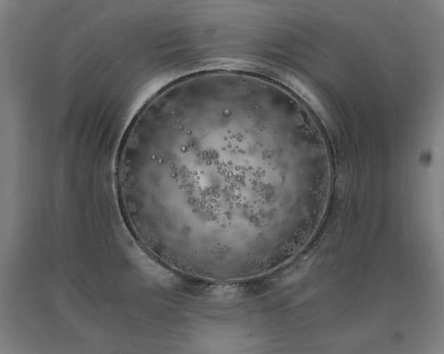 X0000090901283200707301405