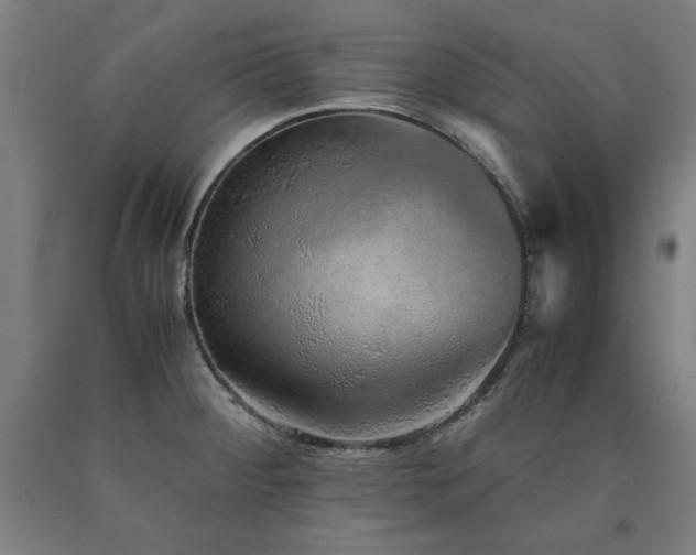 X0000090901284200707301405