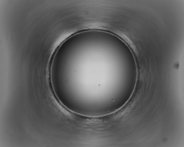 X0000090901285200707301405
