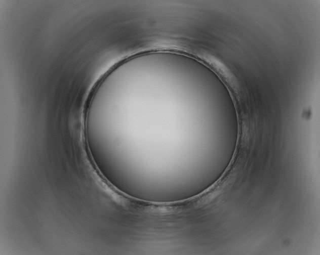 X0000090901286200707301405