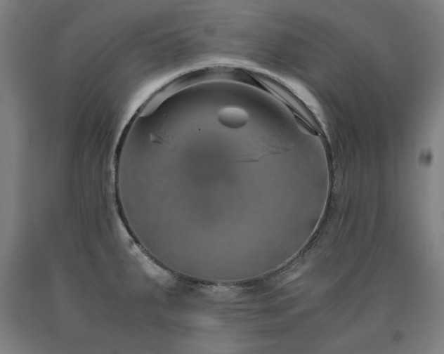 X0000090901287200707301405