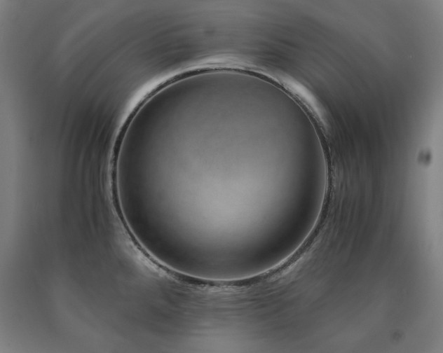 X0000090901288200707301405