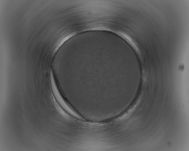 X0000090901289200707301405