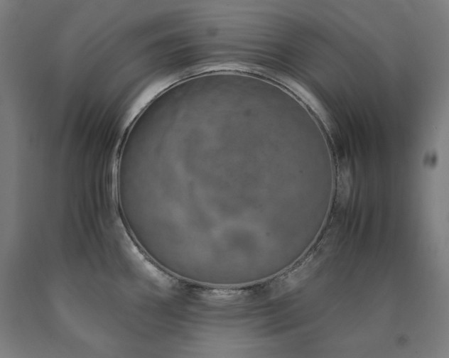 X0000090901290200707301405