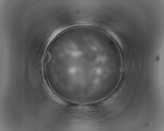 X0000090901291200707301405