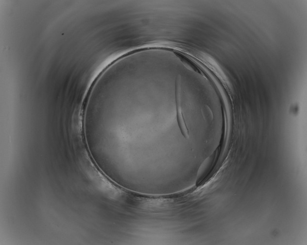 X0000090901292200707301405