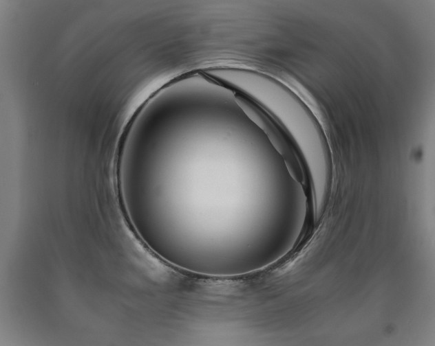 X0000090901293200707301405