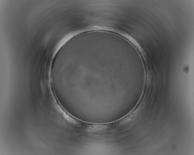 X0000090901294200707301405