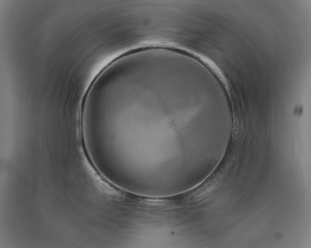 X0000090901295200707301405