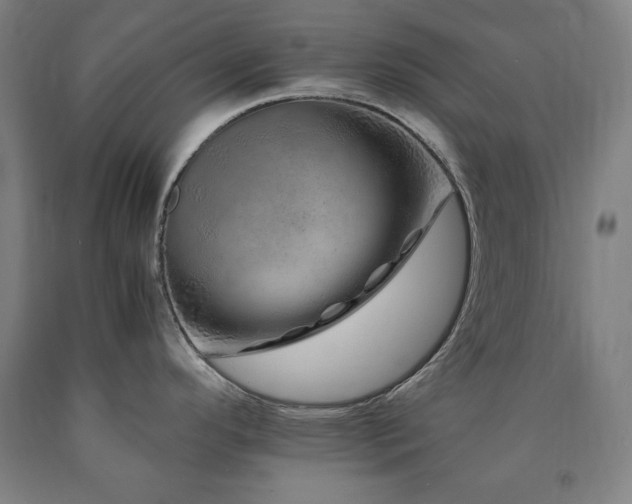 X0000090901296200707301405