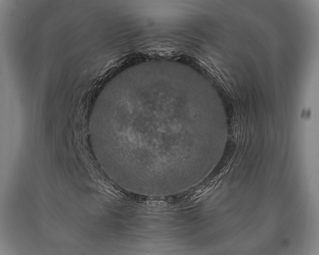 X0000090901297200707301404