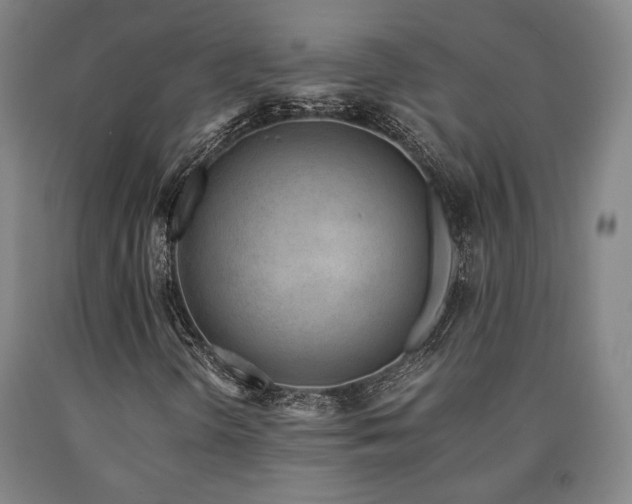 X0000090901298200707301404