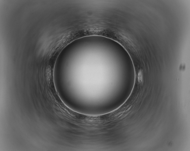 X0000090901299200707301404