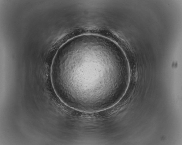 X0000090901301200707301404