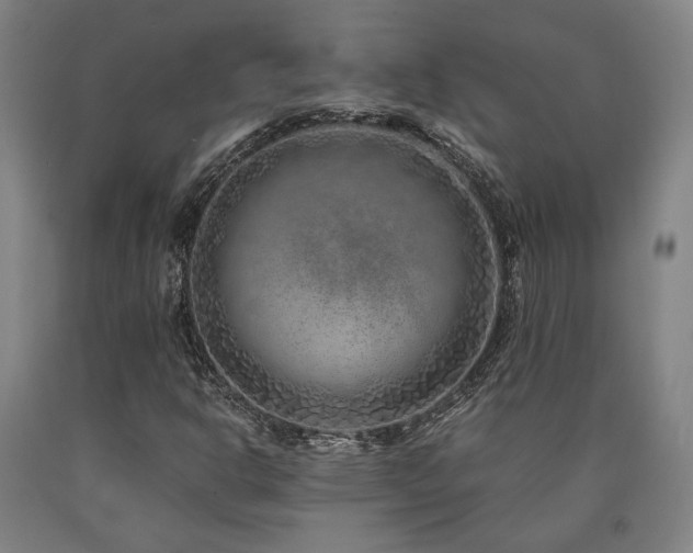 X0000090901302200707301404