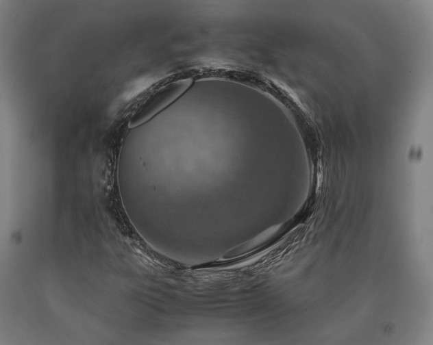 X0000090901303200707301404