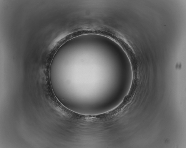 X0000090901304200707301404