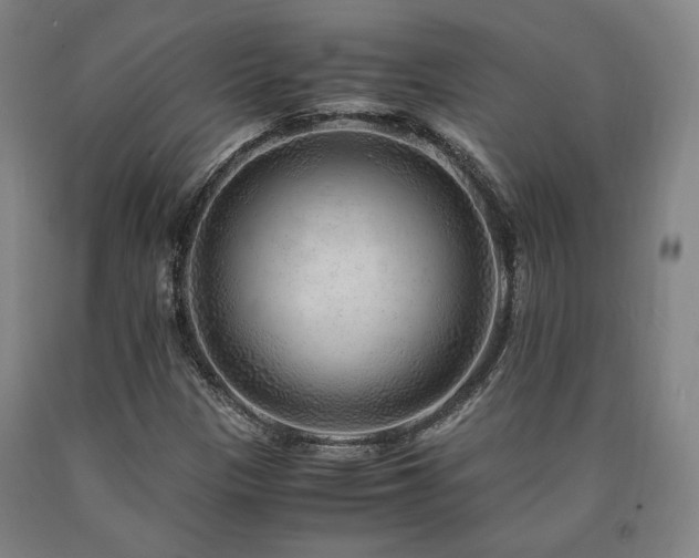 X0000090901305200707301404