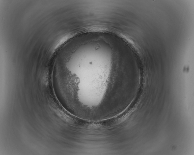 X0000090901306200707301404