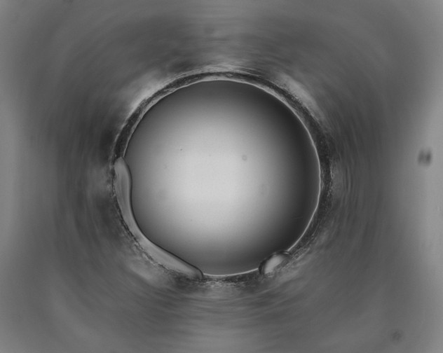 X0000090901308200707301404
