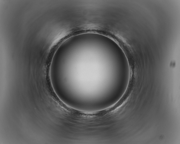 X0000090901309200707301404