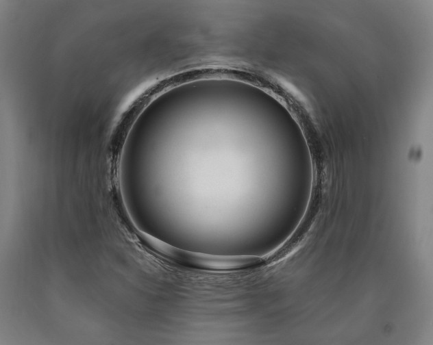 X0000090901310200707301404