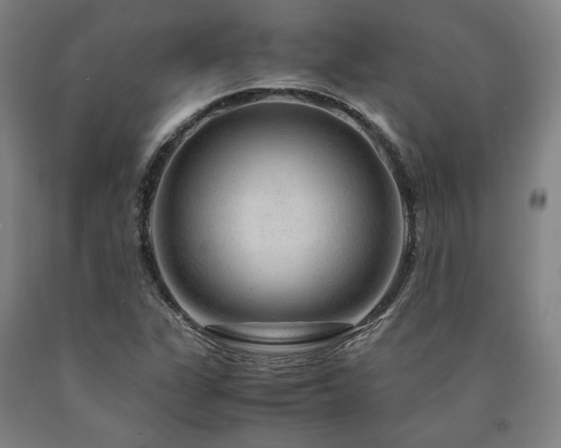 X0000090901311200707301404