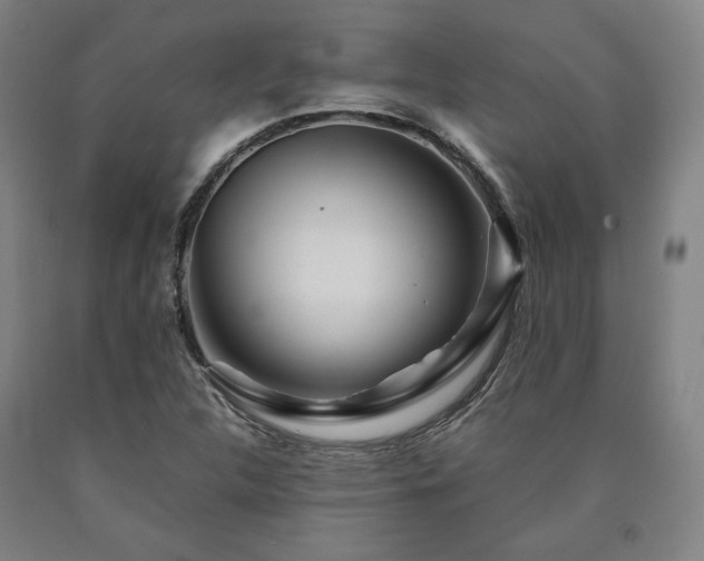 X0000090901312200707301404