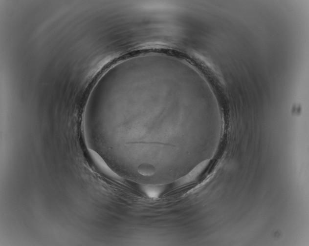 X0000090901313200707301404