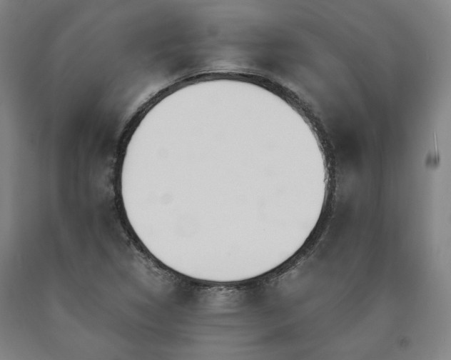 X0000090901314200707301404