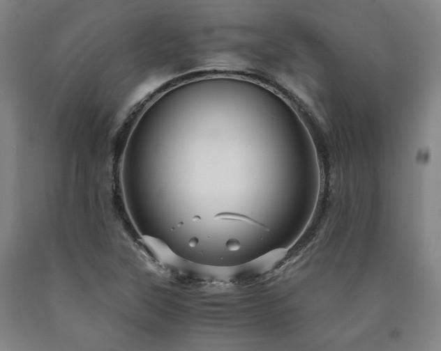 X0000090901315200707301404