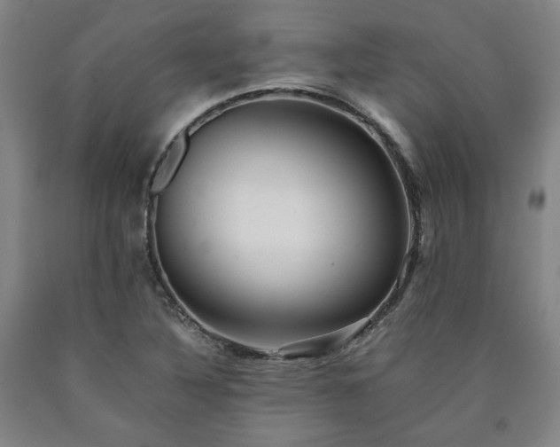 X0000090901316200707301404