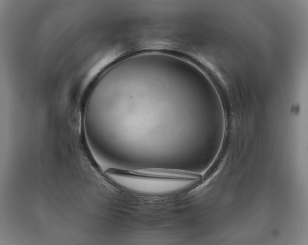 X0000090901317200707301404