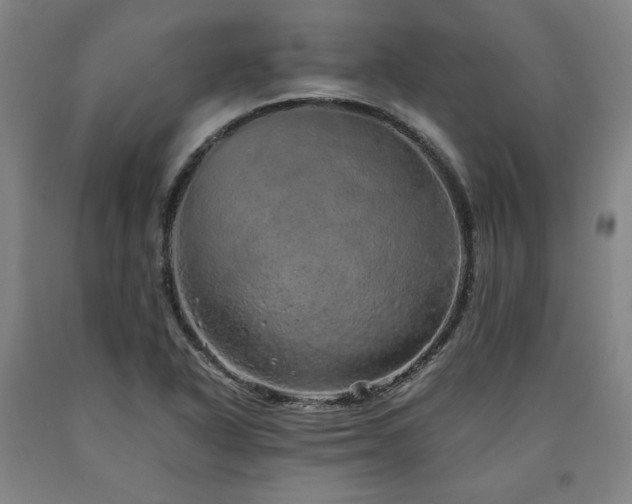 X0000090901318200707301404