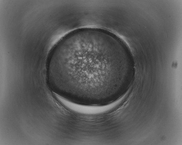 X0000090901319200707301404
