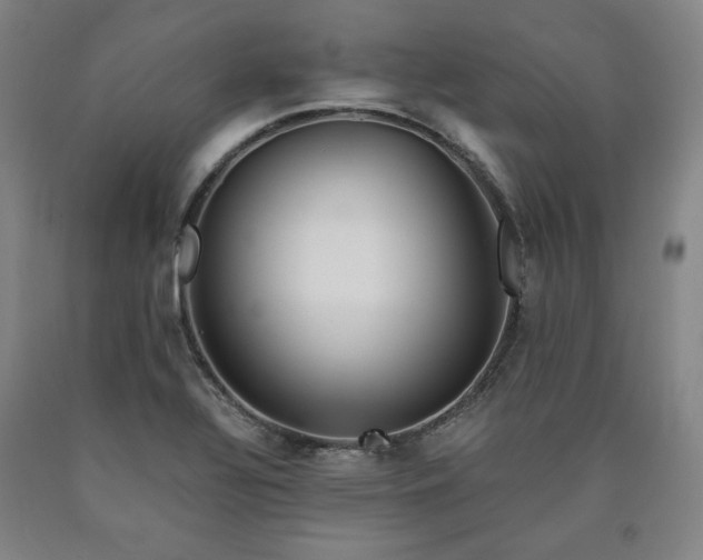 X0000090901320200707301404