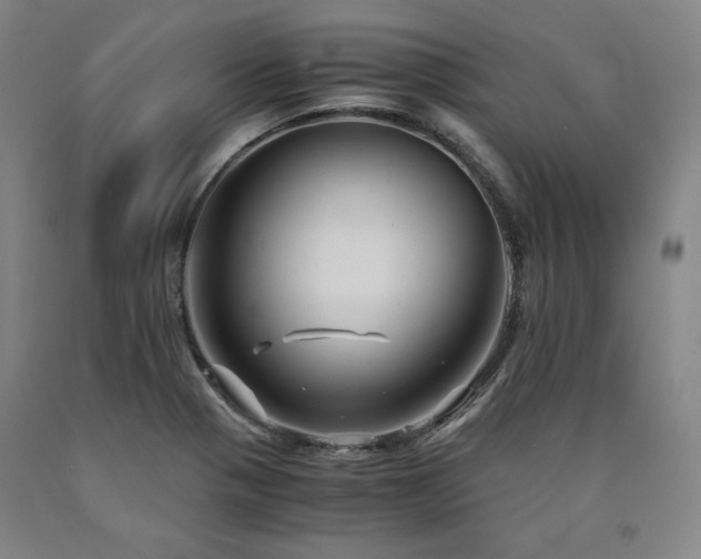 X0000090901321200707301404