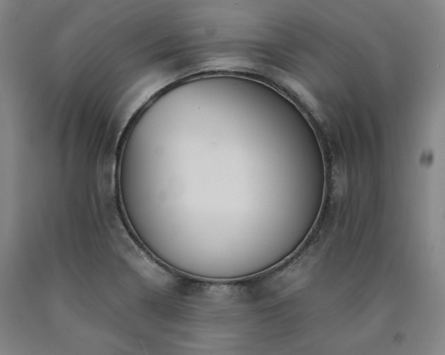 X0000090901322200707301404