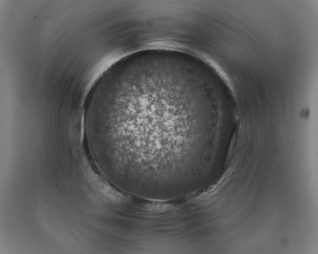 X0000090901323200707301404