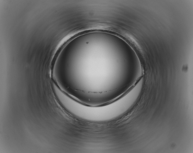 X0000090901324200707301404