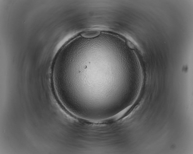 X0000090901325200707301404