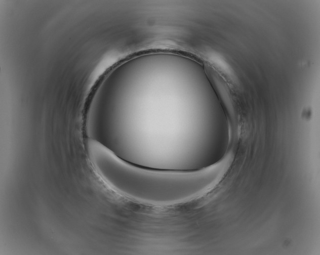 X0000090901326200707301404