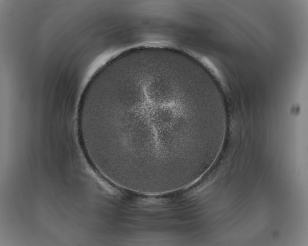 X0000090901327200707301404