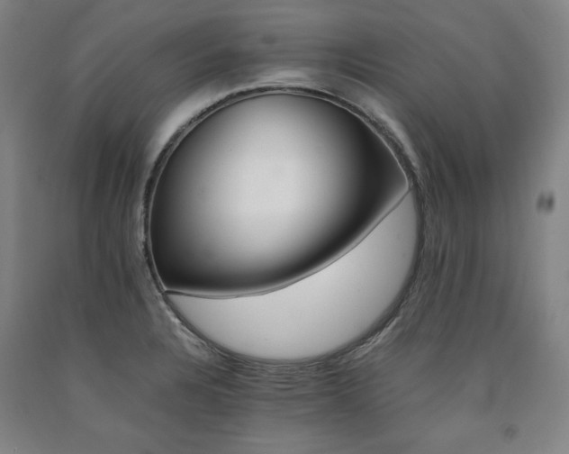 X0000090901328200707301404