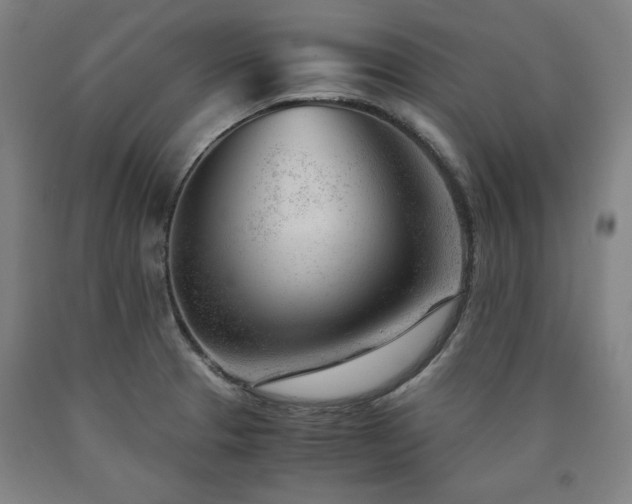 X0000090901329200707301404