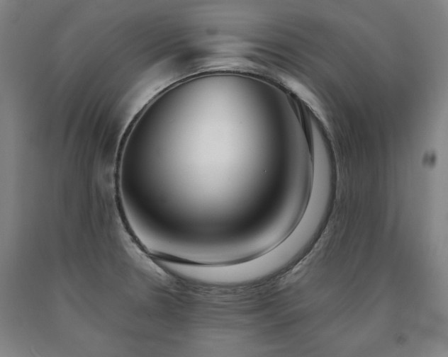 X0000090901330200707301404