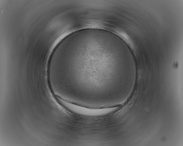X0000090901331200707301404